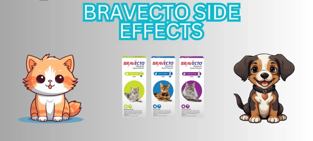 What is Side effects of Bravecto?