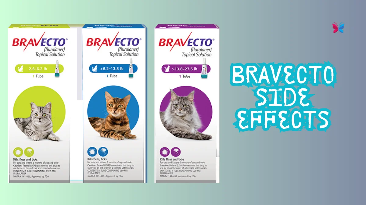 Bravecto side effects: Is it Really Safe For Works & Cats?