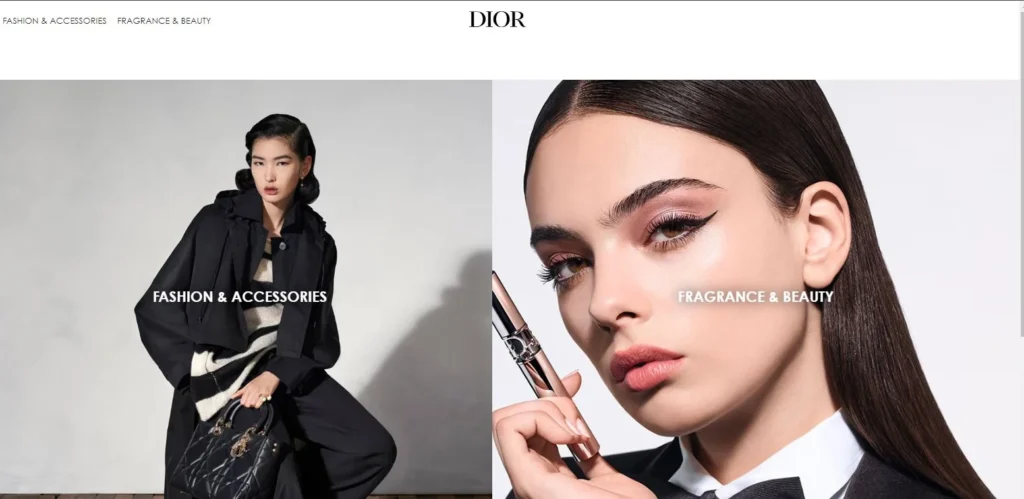 Luxury Fashion brand of Dior