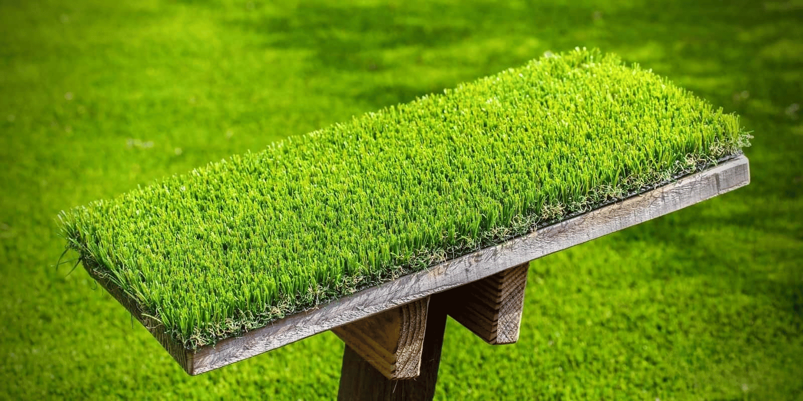 Lush Lawns, Low Maintenance: How Artificial Grass Can Enhance Your Home Life and Save Effort